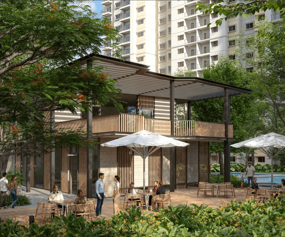 Alembic Cloud Forest gallery