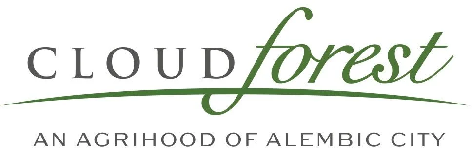 Alembic Cloud Forest